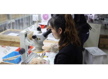 貼片共模電感方向如何區(qū)分你知道嗎？